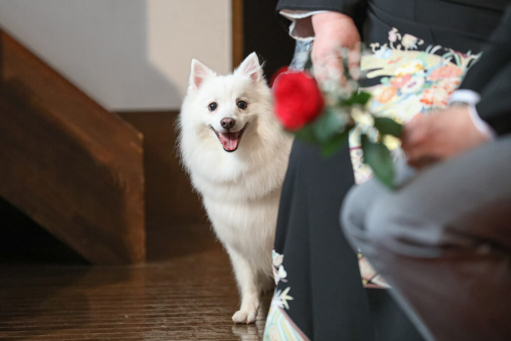 “Of the whole family wedding ”  YUTA＆MAYUMI