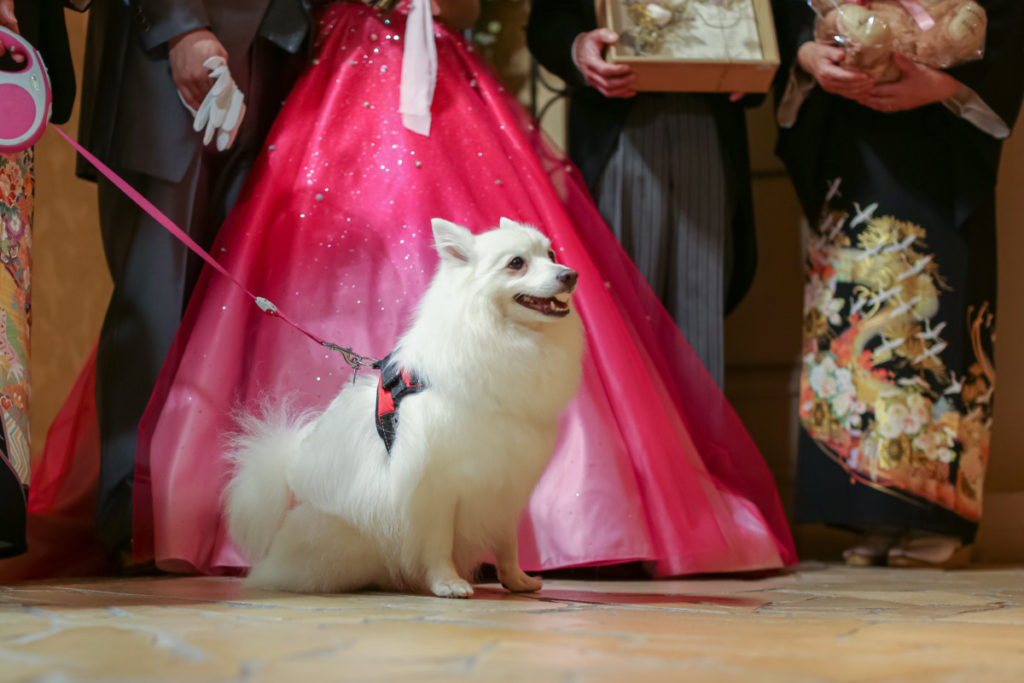 “Of the whole family wedding ”  YUTA＆MAYUMI