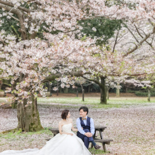 Pre photo～季節感あふれるロケーションフォト～  SHO&RINA